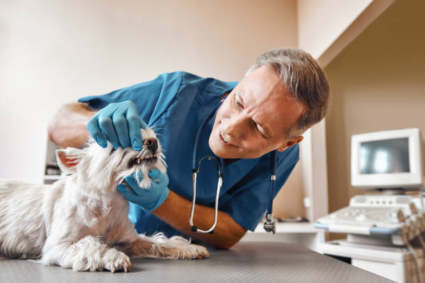 Best Emergency Tooth Extraction in Deltana, AK